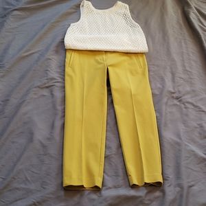 Size 4 Loft crop pants